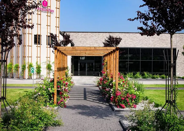 Piotrus Pan * Brzesko